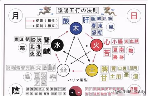 五行 味|“五味”的自然属性及与“五行”的关系